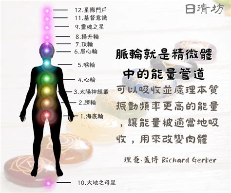 中脈位置|修佛道人必知的三脈七輪理論（圖文解說）